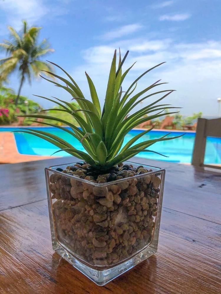Hotel Mont Joli Cap-Haïtien Εξωτερικό φωτογραφία