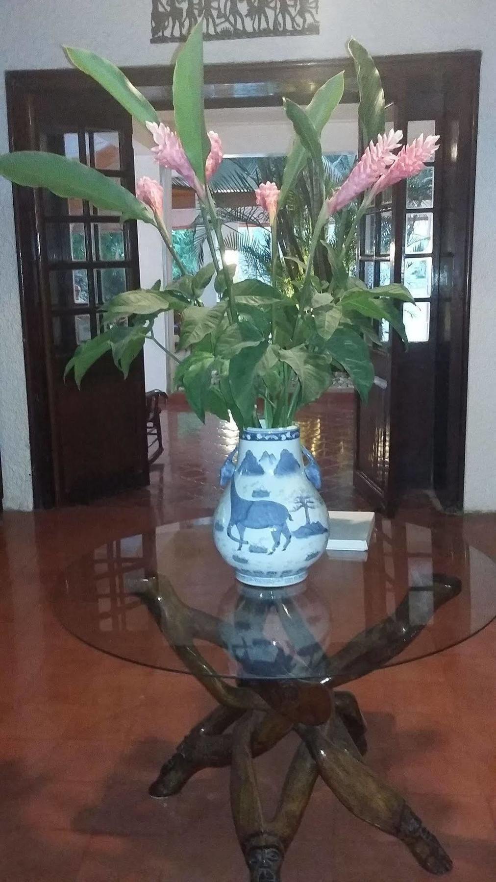 Hotel Mont Joli Cap-Haïtien Εξωτερικό φωτογραφία